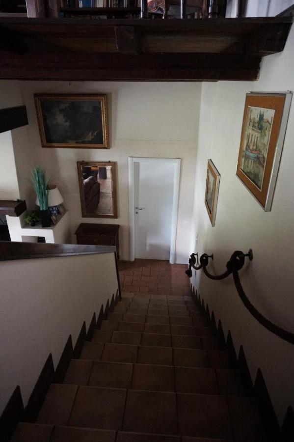 Golden Hill - Big Rooms With Kitchen And Garden Collina d'Oro エクステリア 写真