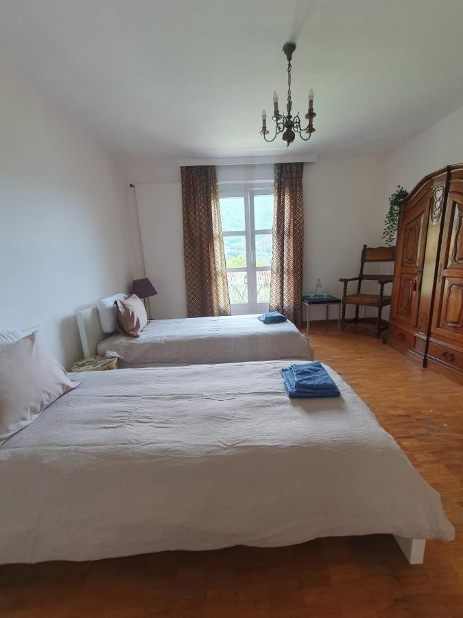Golden Hill - Big Rooms With Kitchen And Garden Collina d'Oro エクステリア 写真
