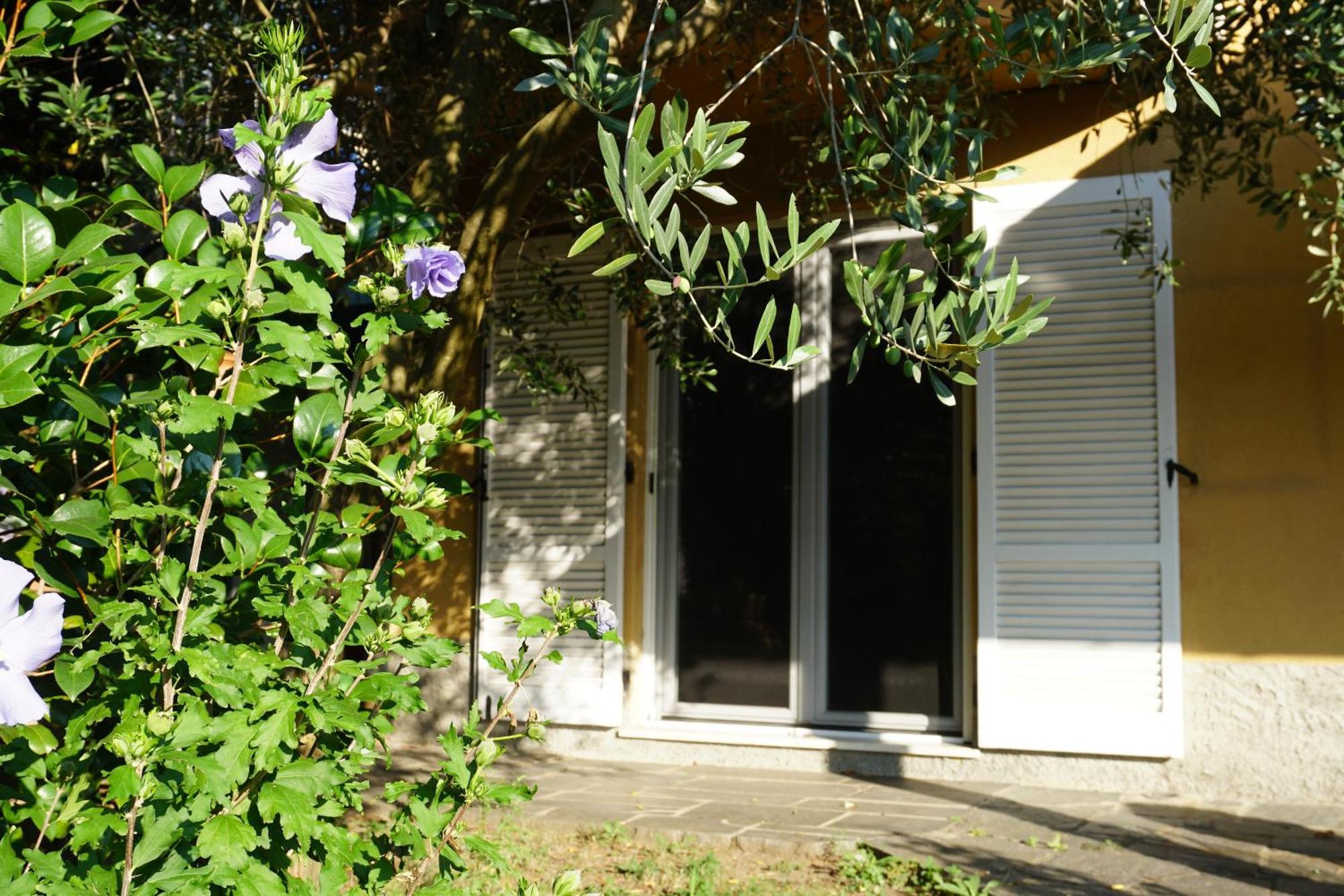 Golden Hill - Big Rooms With Kitchen And Garden Collina d'Oro エクステリア 写真